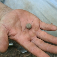 Musket Ball